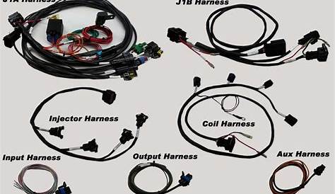 Holley Ls1 Harness Wiring Diagram - lopgold blog