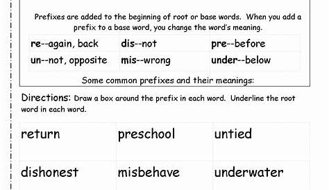 50 Root Words Worksheet Pdf
