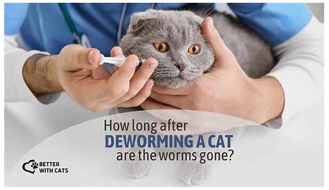 Cat Deworming Schedule Chart