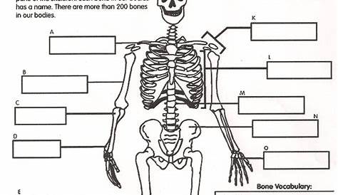science worksheets human body