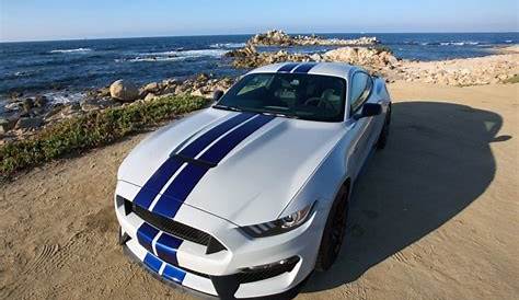 Ford GT Mustang Rental - Drive With Style Today - Apex