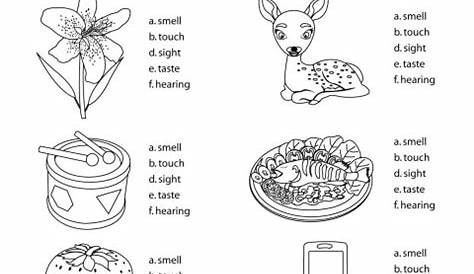 16 Best Images of Worksheets Our Five Senses - FREE Printable, Our Five