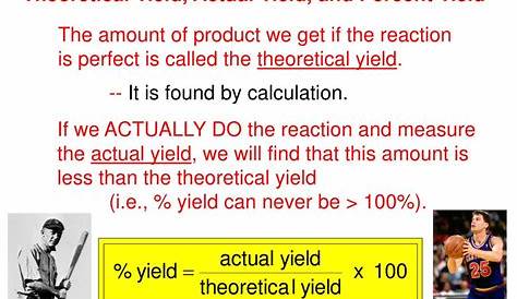 percent actual and theoretical yield worksheets
