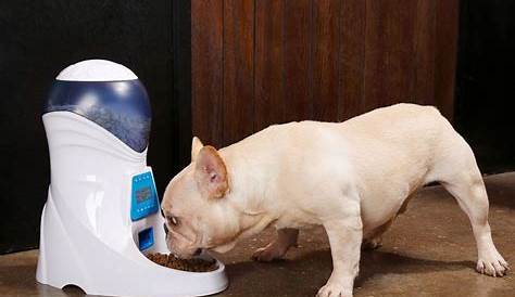 HoneyGuaridan A26 Automatic Pet Feeder Food Dispenser Removable Food