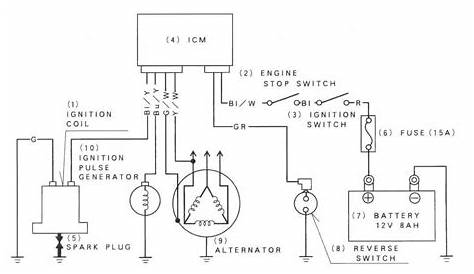 Honda 300ex Wiring Diagram Cdi - Wiring Diagram and Schematic