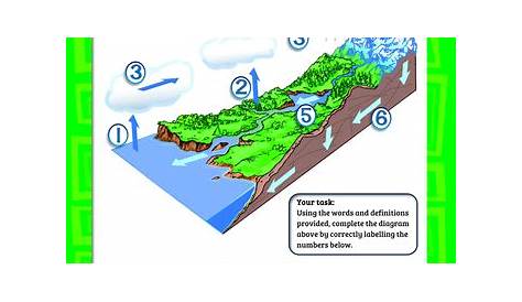 Water pollution worksheet | Teaching Resources