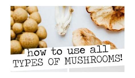 5 Common Types of Mushrooms (And How To Use Them) | Live Eat Learn