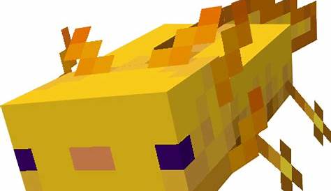 Minecraft Axolotl Tier List (Community Rankings) - TierMaker
