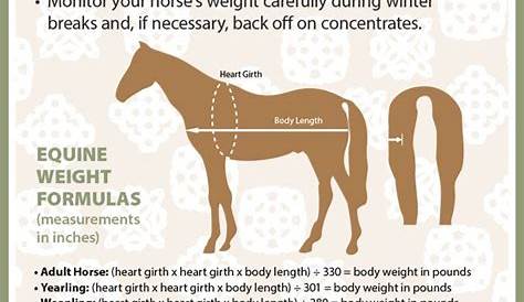 horse nutrition worksheet