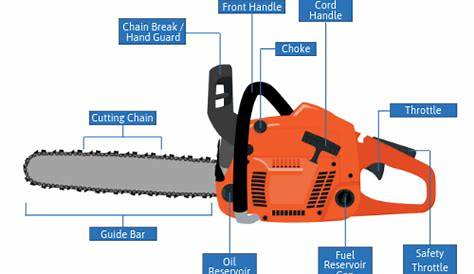 Proper Chainsaw Safety and Operation - SafetySkills Online Training