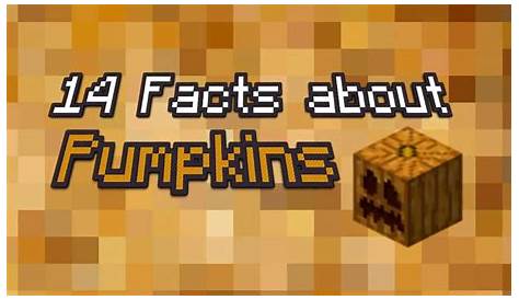 what can you do with pumpkins in minecraft