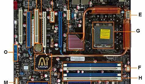 diagram of a typical motherboard