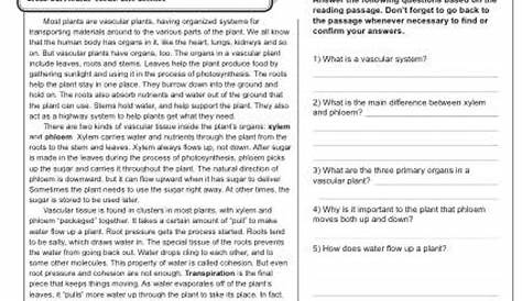 Xylem and Phloem - Reading Worksheets, Spelling, Grammar, Comprehension