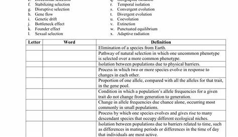 Practice Evolution Vocabulary Answer Key