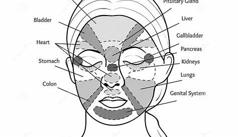 reflexology chart printable face