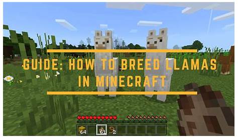 How To Breed Llamas In Minecraft (2024) - eXputer.com