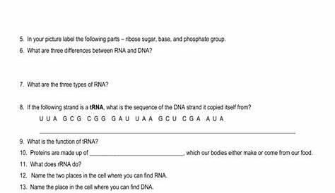 RNA-Transcription-Worksheet