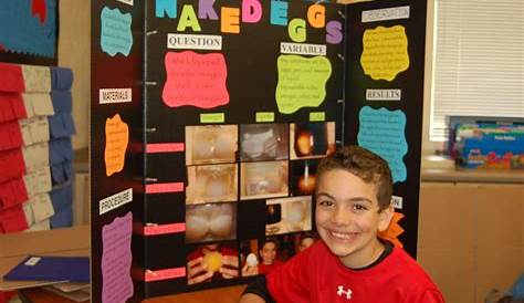 10 Attractive Science Fair Ideas For 4Th Graders 2024