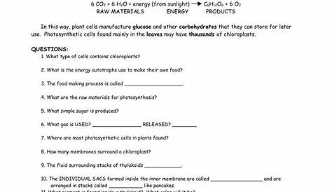 Chloroplasts Worksheet