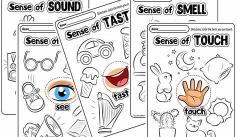 kindergarten 5 senses worksheets