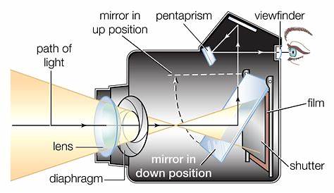 What Are the Different Parts of a Camera Body?