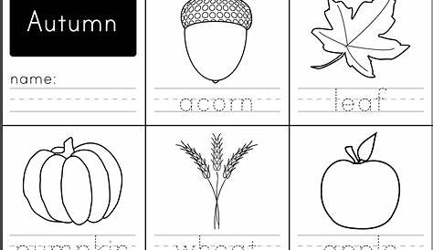 Parts Of A Leaf Printables | Autumn And Fall Homeschool Activities