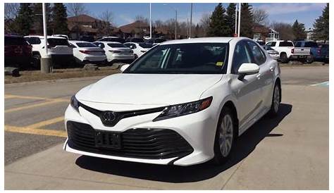 Update 96+ about toyota camry le 2019 latest - in.daotaonec