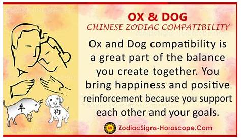Ox and Dog Love Compatibility, Relationship and Traits in Chinese Zodiac