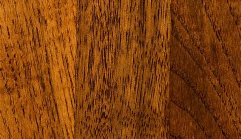 best rated hickory solid color stain