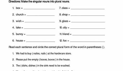 18 Irregular Plurals Worksheets 1st Grade / worksheeto.com