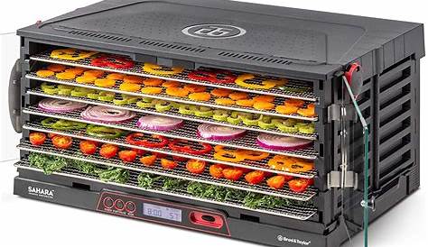 Save More, Spend Less: A Guide to the Best Food Dehydrators