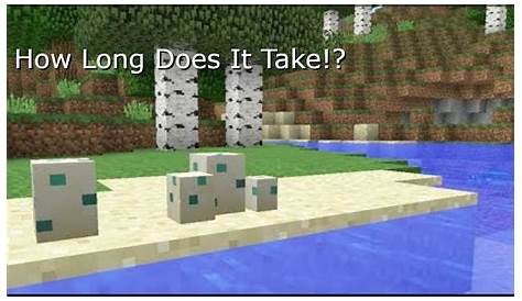 How Long Does It Take Tadpoles To Hatch In Minecraft