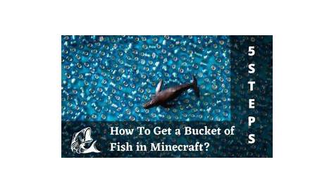 how to catch fish in bucket minecraft