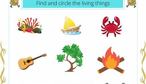 worksheet about living things