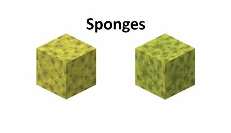 where are sponges in minecraft