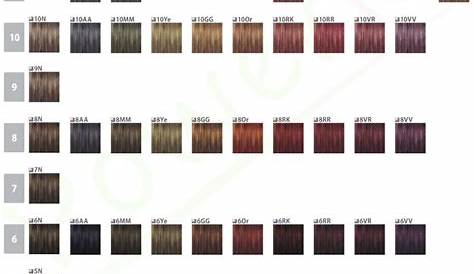 EXCLUSIVE Color Conversion Chart From Goldwell To Wella.11 | Peatix