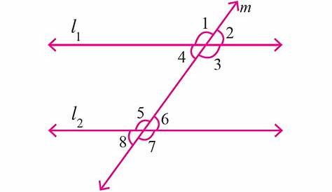 angles formed by a transversal worksheet