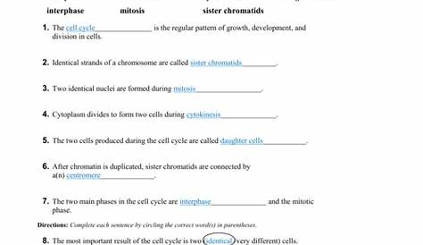 Cell Cycle Student Worksheet Answer Key / A student could tell the