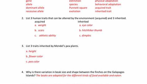 Heredity and Evolution Study Guide Answer Key doc