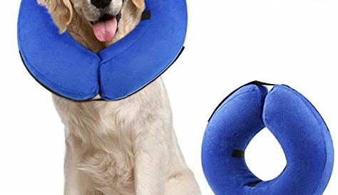 Best inflatable collar for dogs for 2018 | Pokrace.com