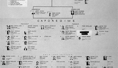 Chart Of Gambino Crime Family Photograph by Bettmann - Fine Art America