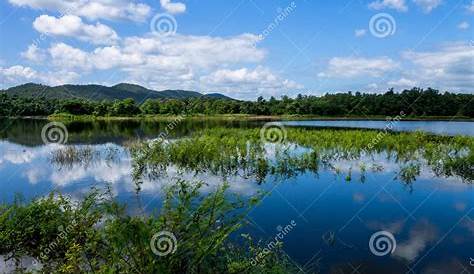 Lack of water stock image. Image of global, weir, jungle - 80628163