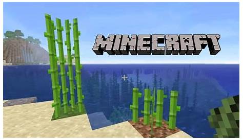How to Grow Sugar Cane In Minecraft? Step By Step Guide