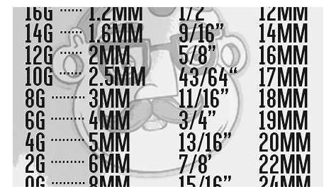 Ear Plug Size Chart | amulette