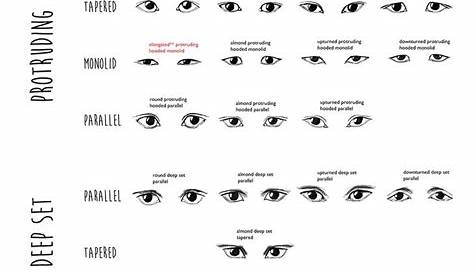 imgur.com | Eye shape chart, Shape chart, Eye shapes