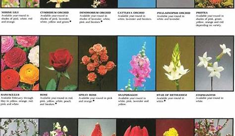 flower chart with names