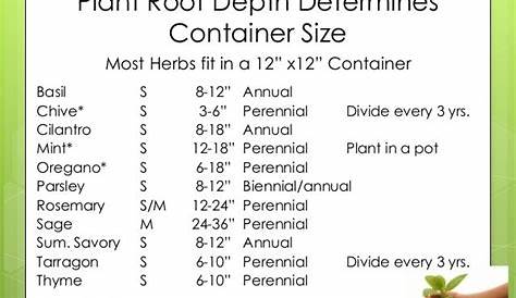 herb root depth chart