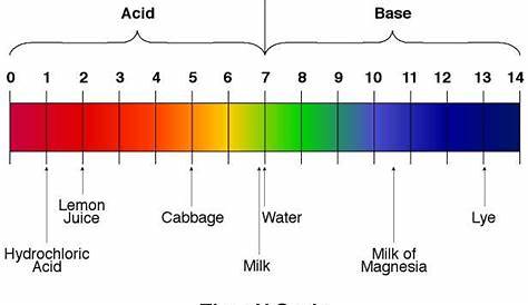 How pH levels are affected - Food POISONING