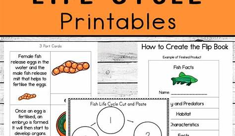 Fish Life Cycle Printables - Simple Living. Creative Learning