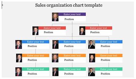 sales team org chart